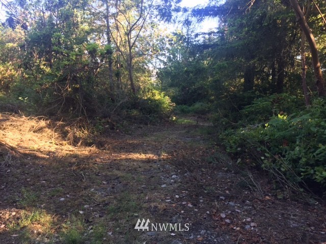 14257 Southwest Pohl Road Vashon, WA 98070 - Photo 19 of 20