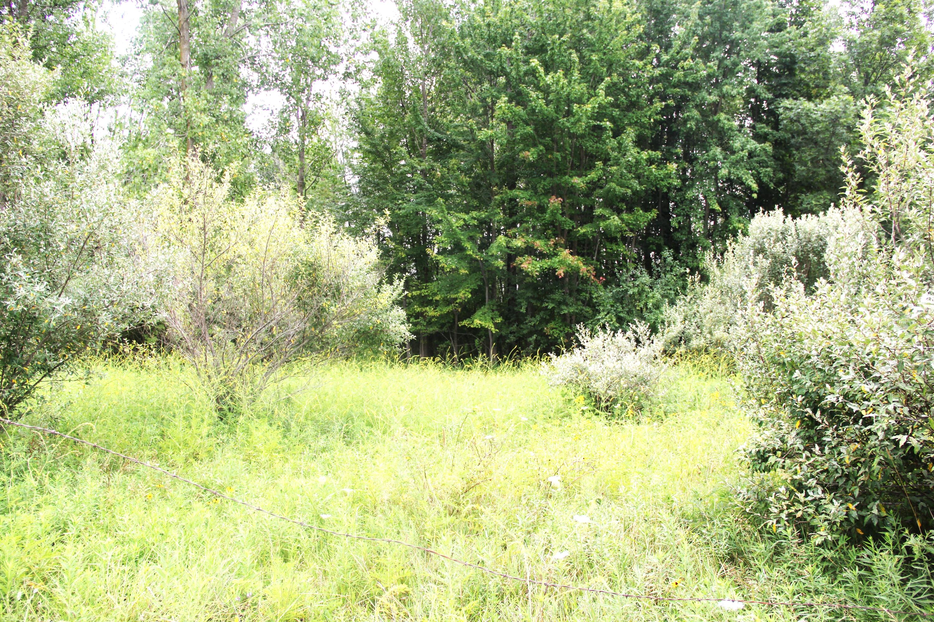12817 Yale Road Yale, MI 48097 - Photo 12 of 23 Yale 17