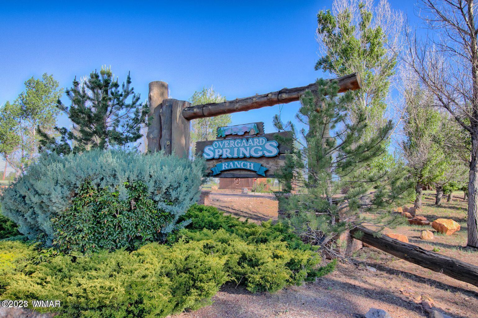 2272 Overgaard Springs Loop Overgaard, AZ 85933 - Photo 16 of 20 Gallery Image 16