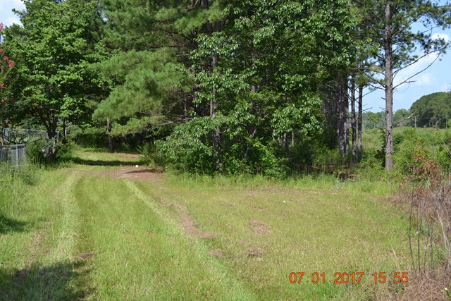 0 Jenkins Road Opelika, AL 36804 - Photo 6 of 10