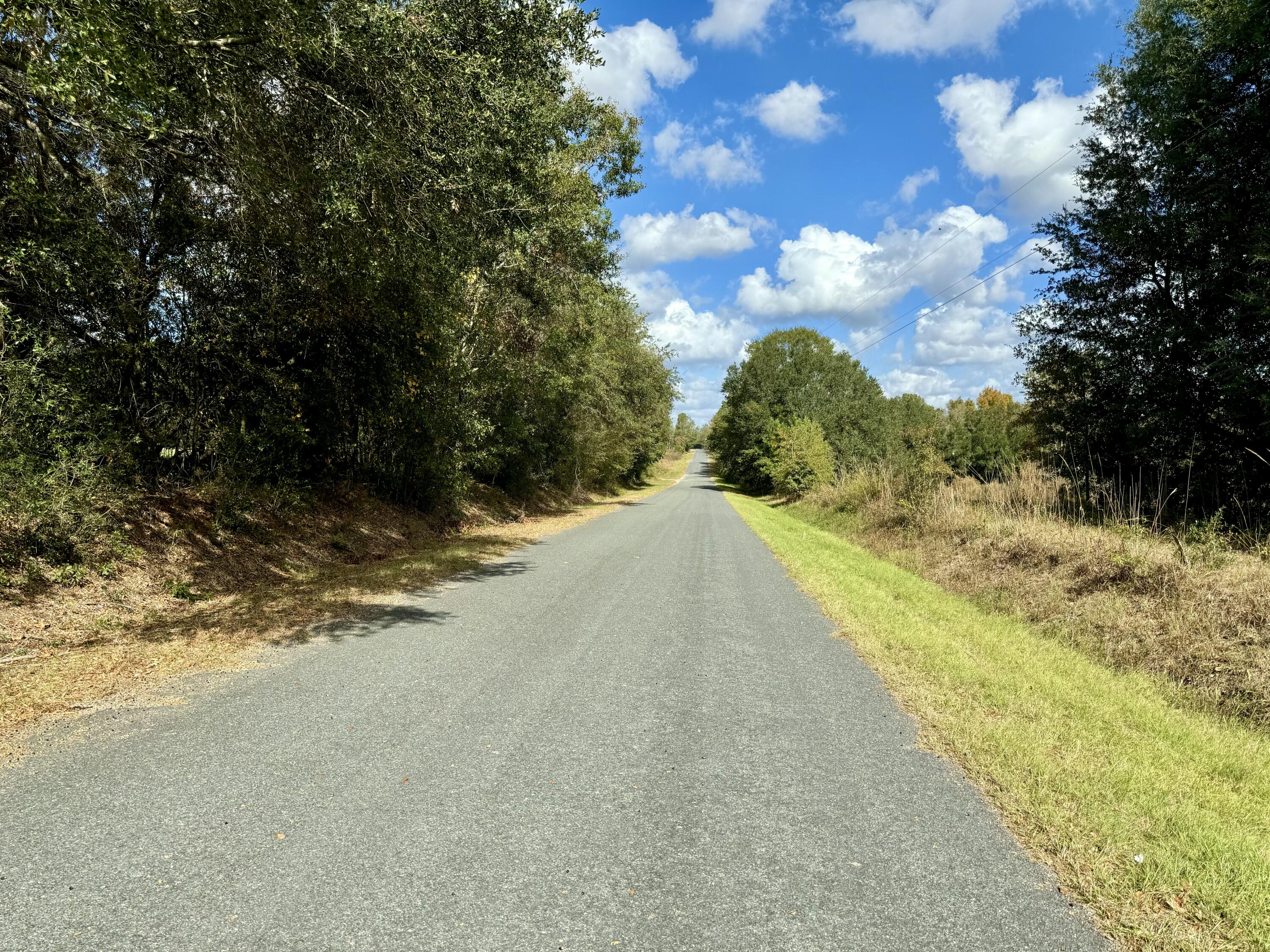 0 Jerusalem Branch Road Salley, SC 29137 - Photo 9 of 16