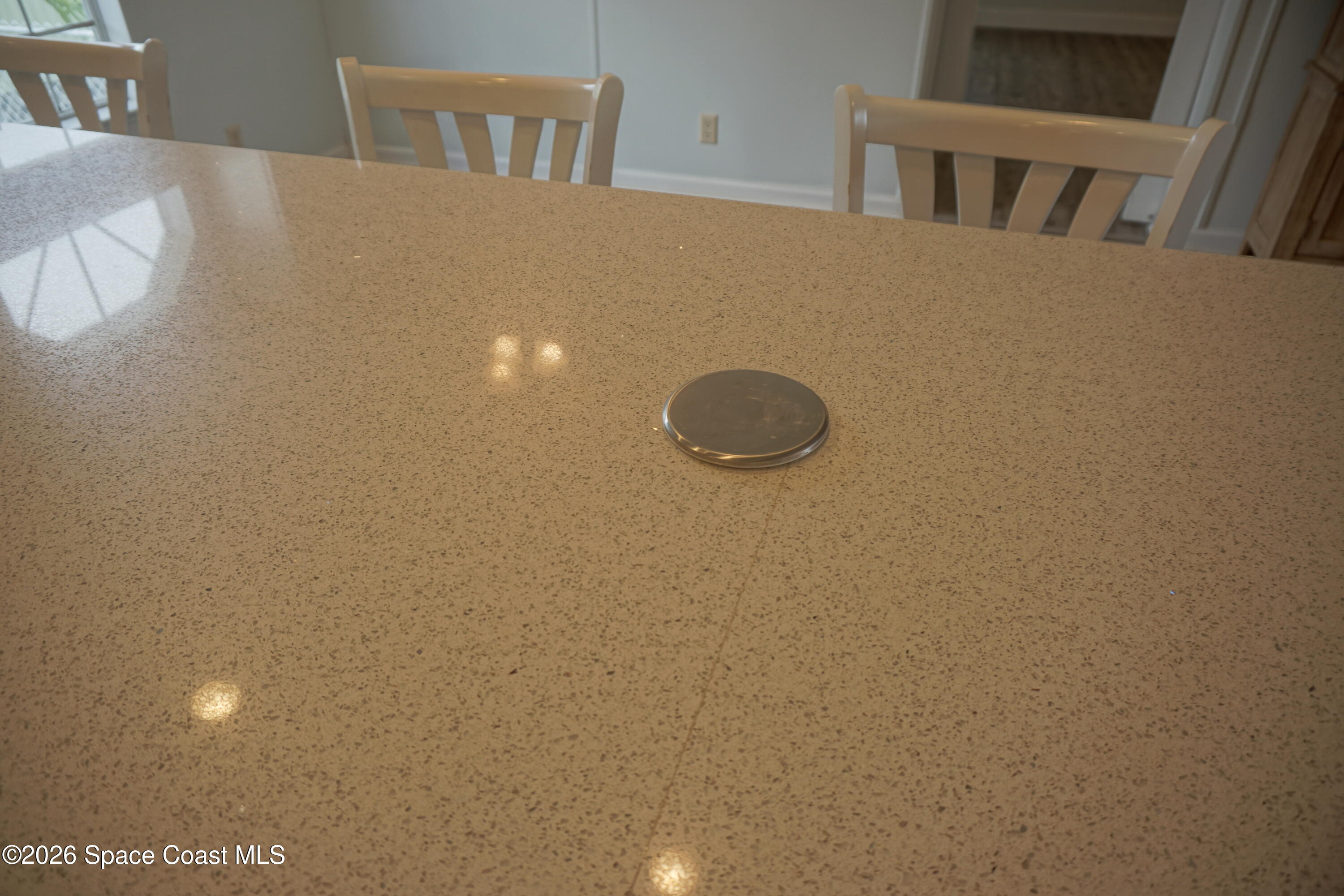 1819 Seagrape Street Northeast Palm Bay, FL 32905 - Photo 17 of 56 DSC01128