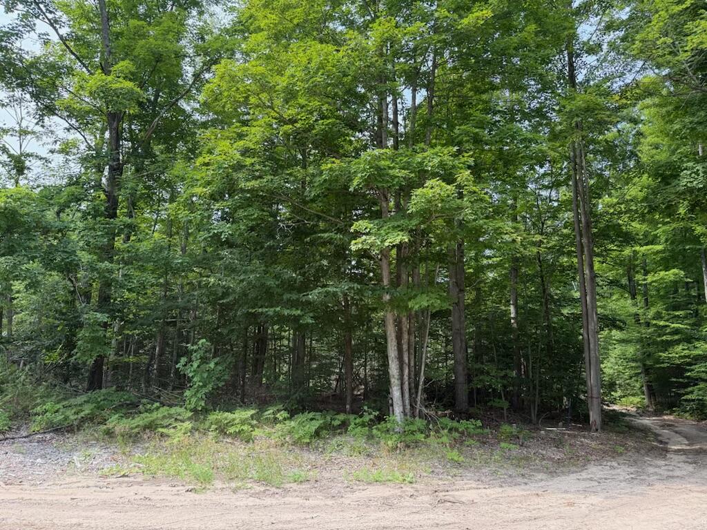 0 Padgett Road Boyne Falls, MI 49713 - Photo 21 of 21 IMG_1115