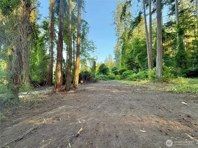a view of a field with trees in the background