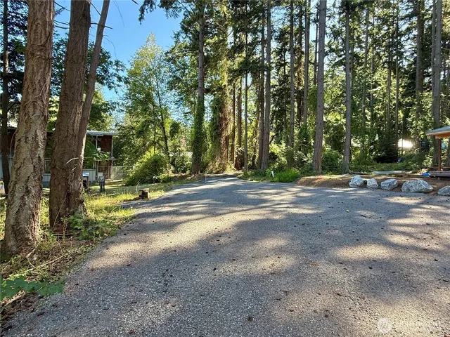 a view of road with trees
