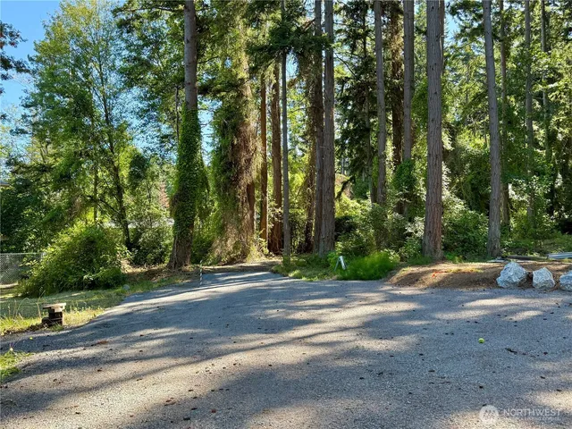 a view of road with trees