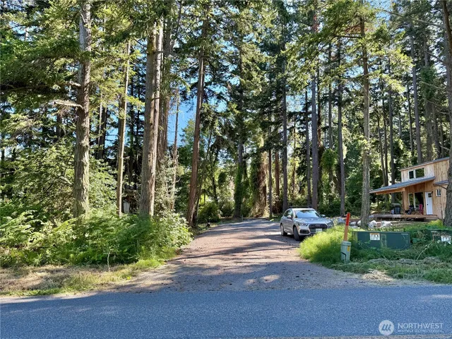 a view of a street with potted plants and large trees