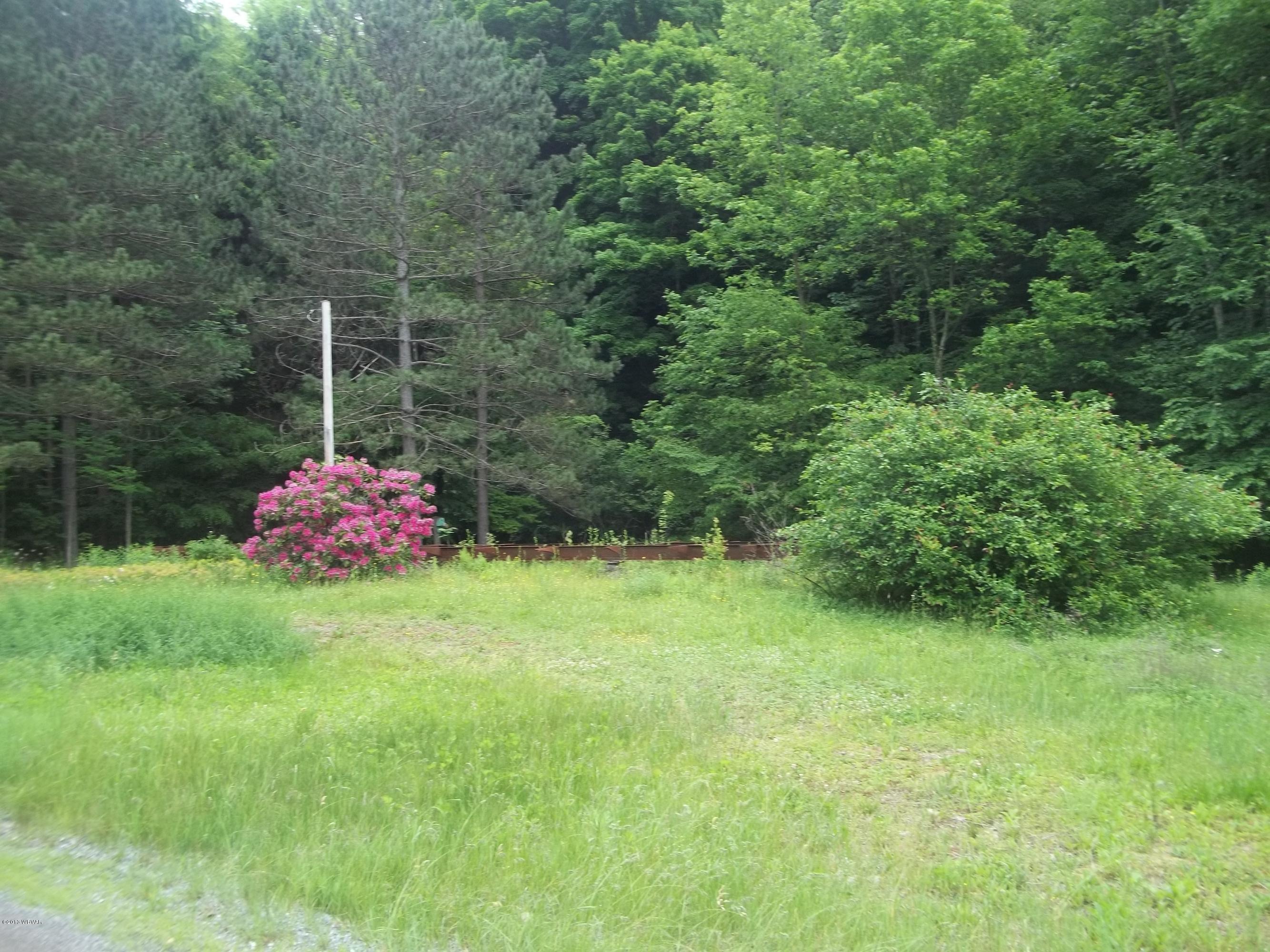 2046 Nordmont Road Muncy Valley, PA 17758 - Photo 2 of 6 100_2153
