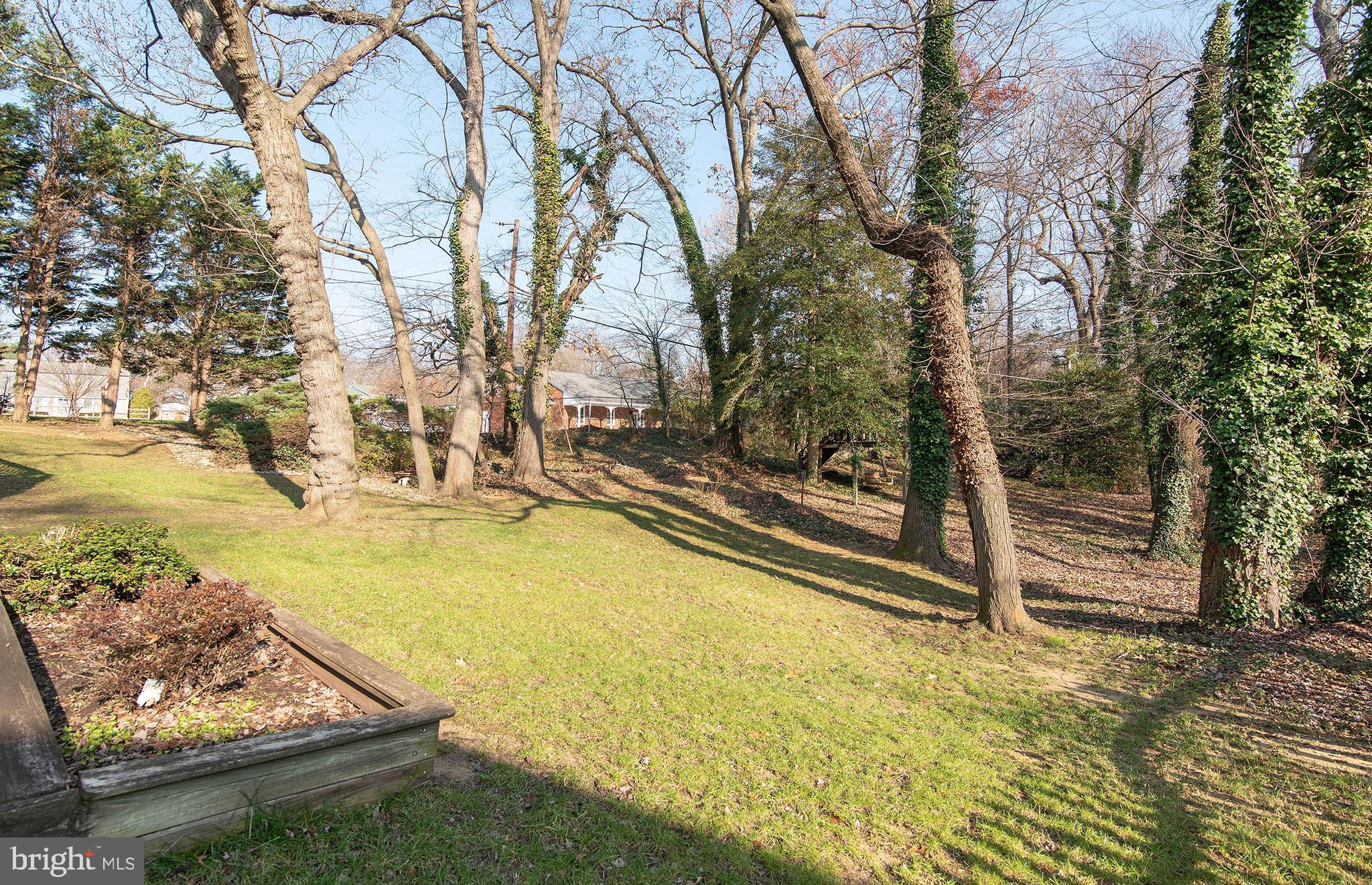 403 Merryman Road Annapolis, MD 21401 - Photo 48 of 53 Wooded Backyard