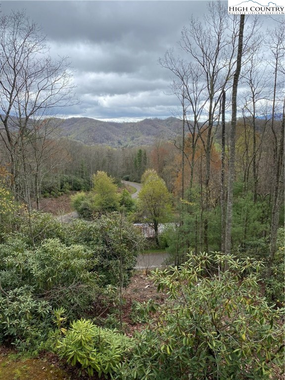 524 Locust Gap Road Vilas, NC 28692 - Photo 2 of 23 Gallery Image 2