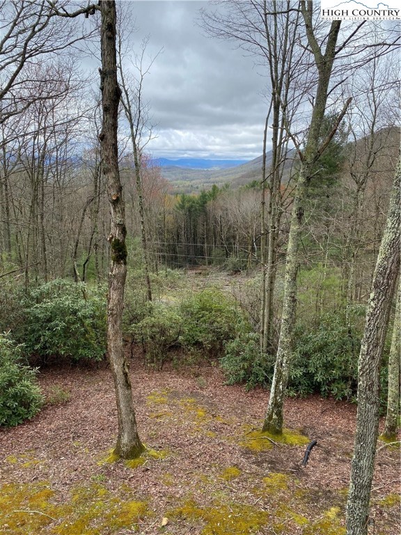524 Locust Gap Road Vilas, NC 28692 - Photo 4 of 23 Gallery Image 4