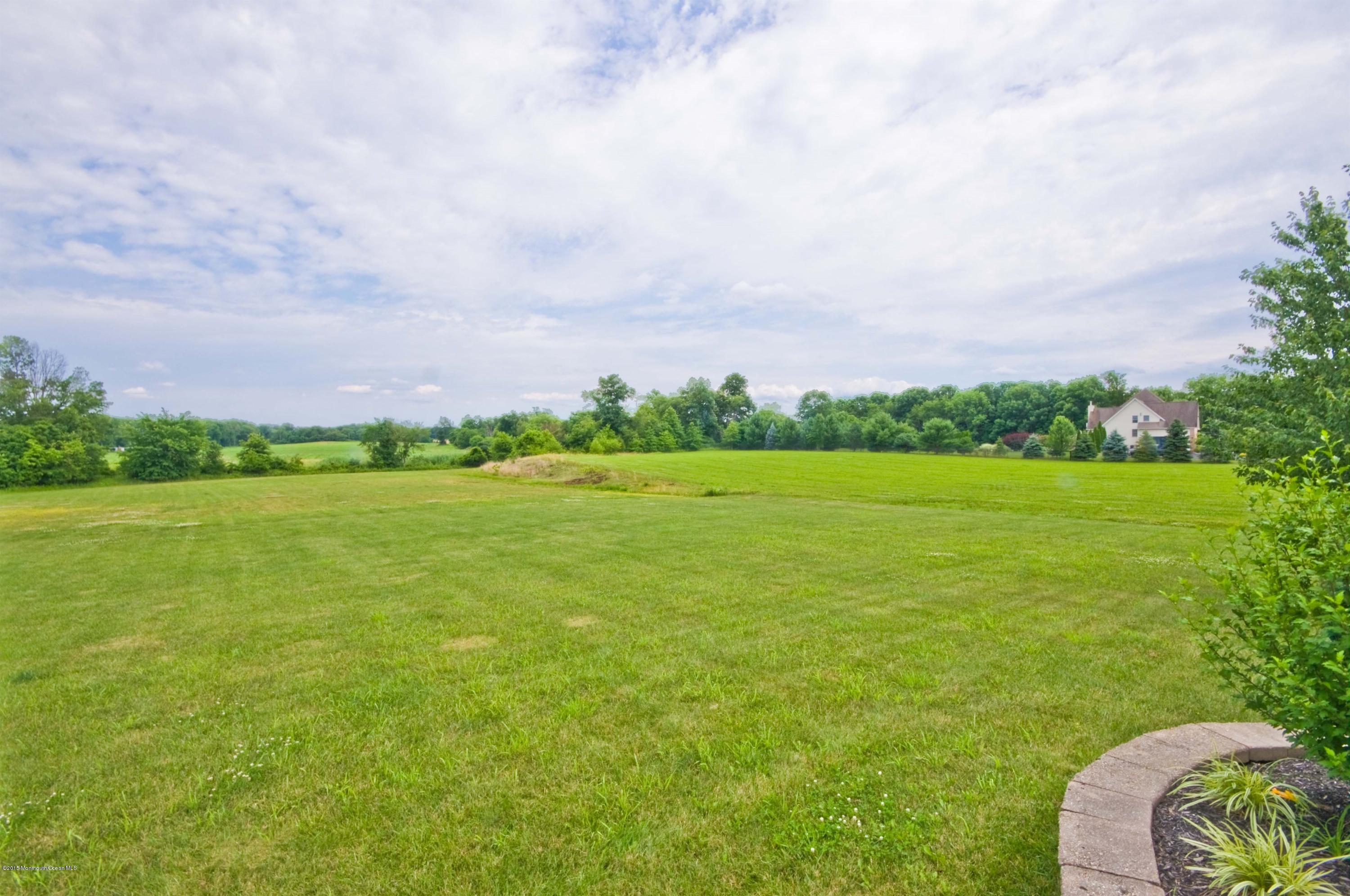 93 Paulson Road Wrightstown, NJ 08562 - Photo 6 of 39 036_BACK YARD
