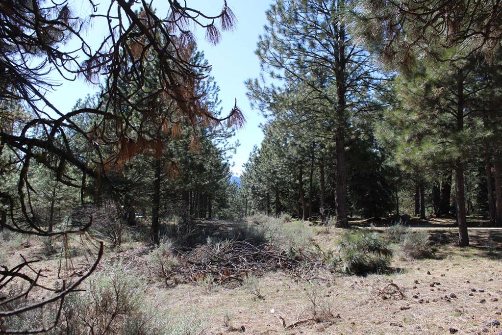 1494 Pine Ridge Drive, Unit 3 Cascade, ID 83611 - Photo 1 of 1 Main View