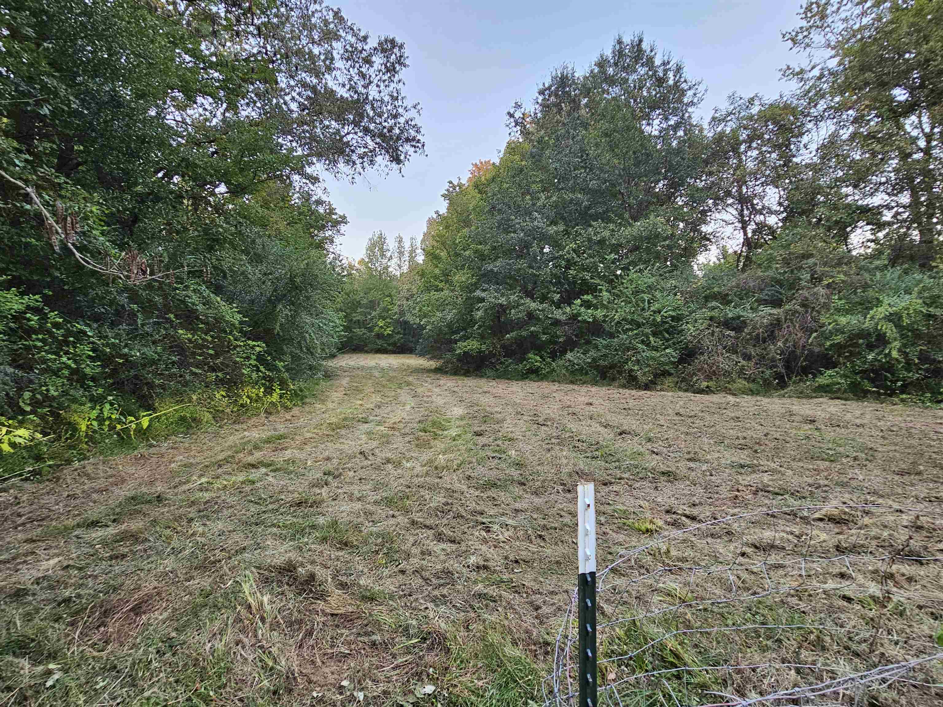 3004 Russell Bond Road Millington, TN 38053 - Photo 12 of 14 Land goes all the back to Jakes Creek and into the wooded area on both sides.