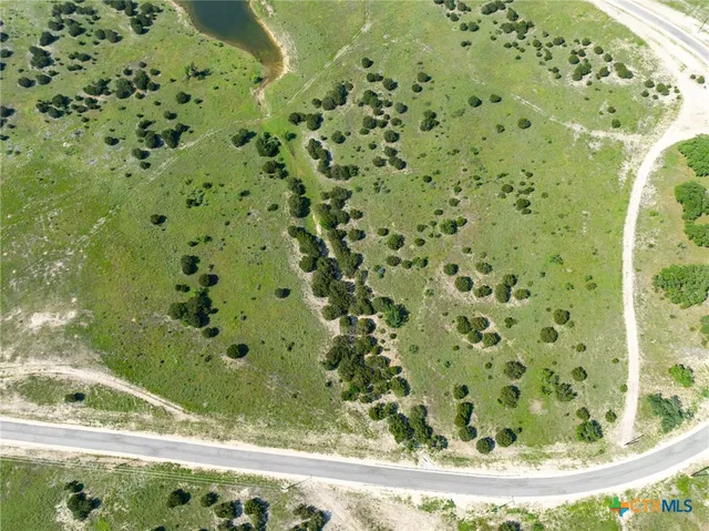 a view of a garden from a window