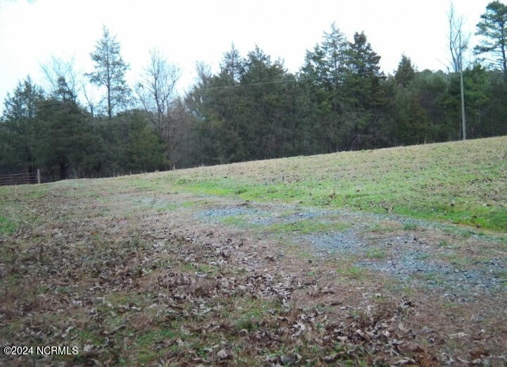 3484 Chatham Church Road Moncure, NC 27559 - Photo 15 of 18 3