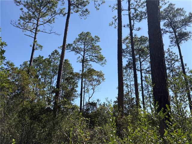 0 Rayford Shumock Road Moss Point, MS 39562 - Photo 24 of 40 Gallery Image 24