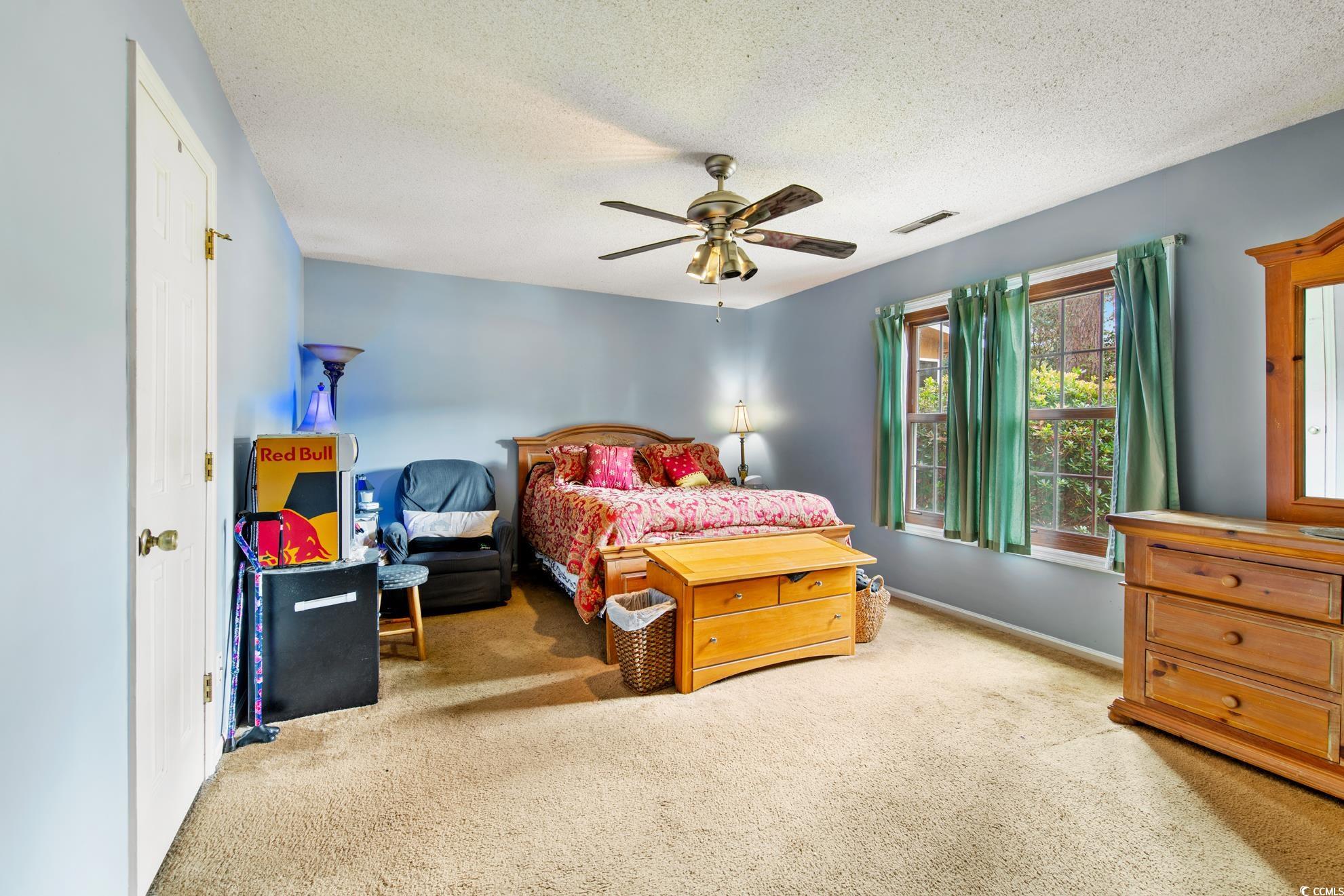 291 Francis Parker Road Georgetown, SC 29440 - Photo 14 of 28 Bedroom with light carpet, a textured ceiling, and