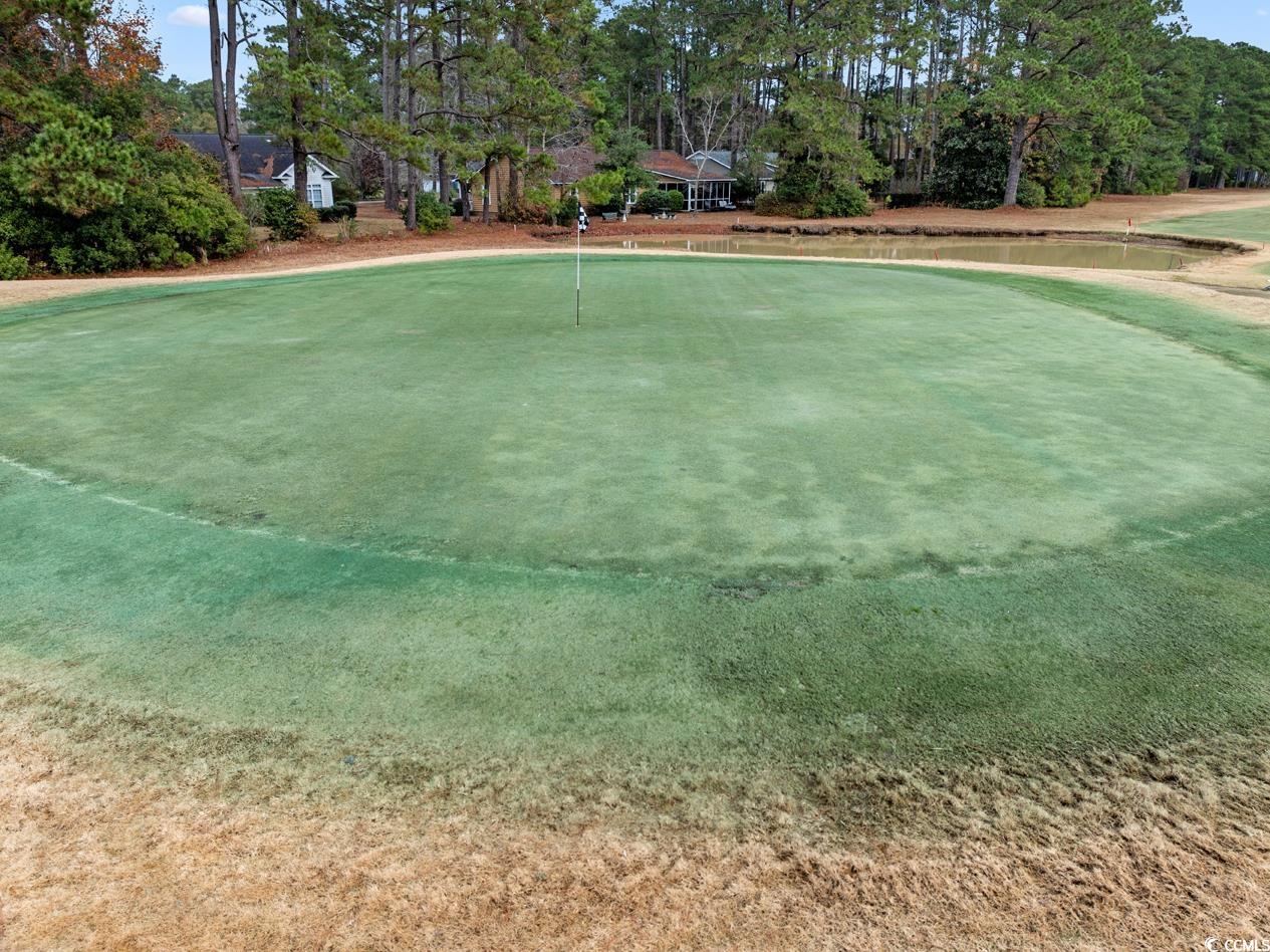 291 Francis Parker Road Georgetown, SC 29440 - Photo 25 of 28 View of golf course.