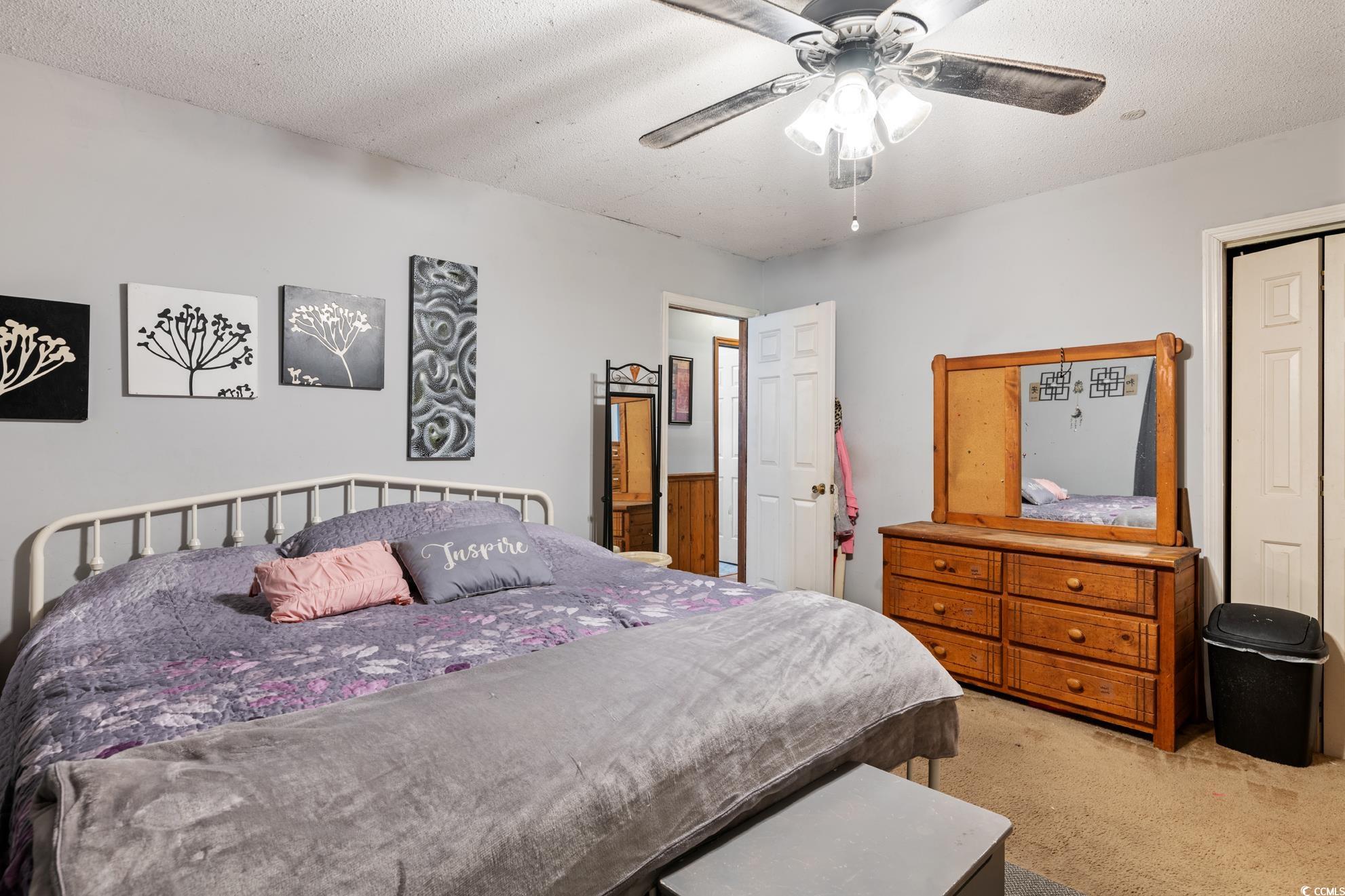 291 Francis Parker Road Georgetown, SC 29440 - Photo 10 of 28 Bedroom with light colored carpet, a textured ceil