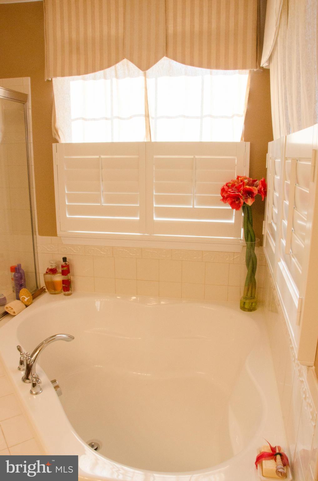 826 Salvatore Road Baltimore, MD 21220 - Photo 13 of 30 a bath tub sitting next to a window