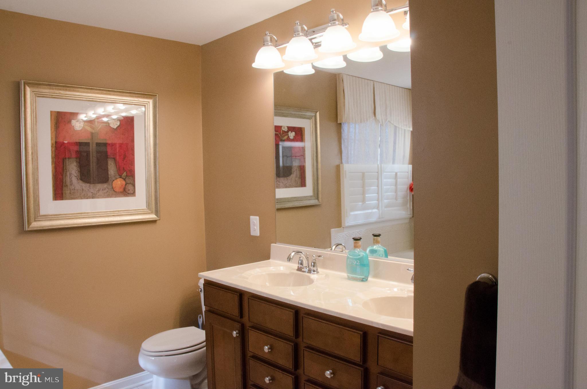826 Salvatore Road Baltimore, MD 21220 - Photo 14 of 30 a bathroom with a toilet a sink and mirror