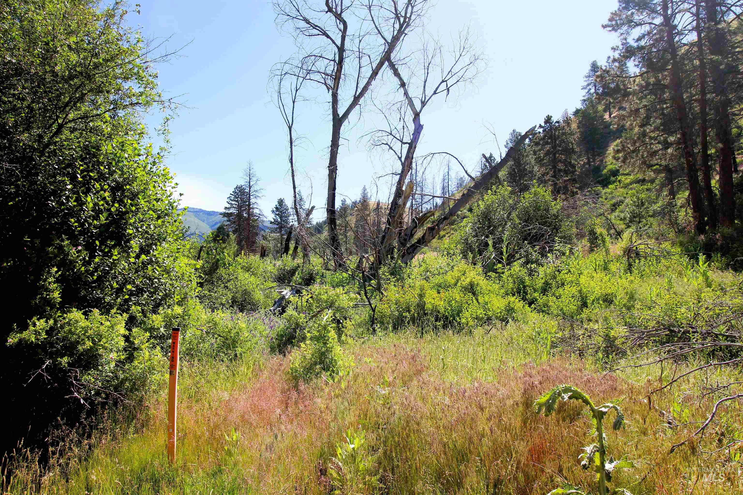 Tbd Advent Gulch Road Cambridge, ID 83610 - Photo 16 of 30