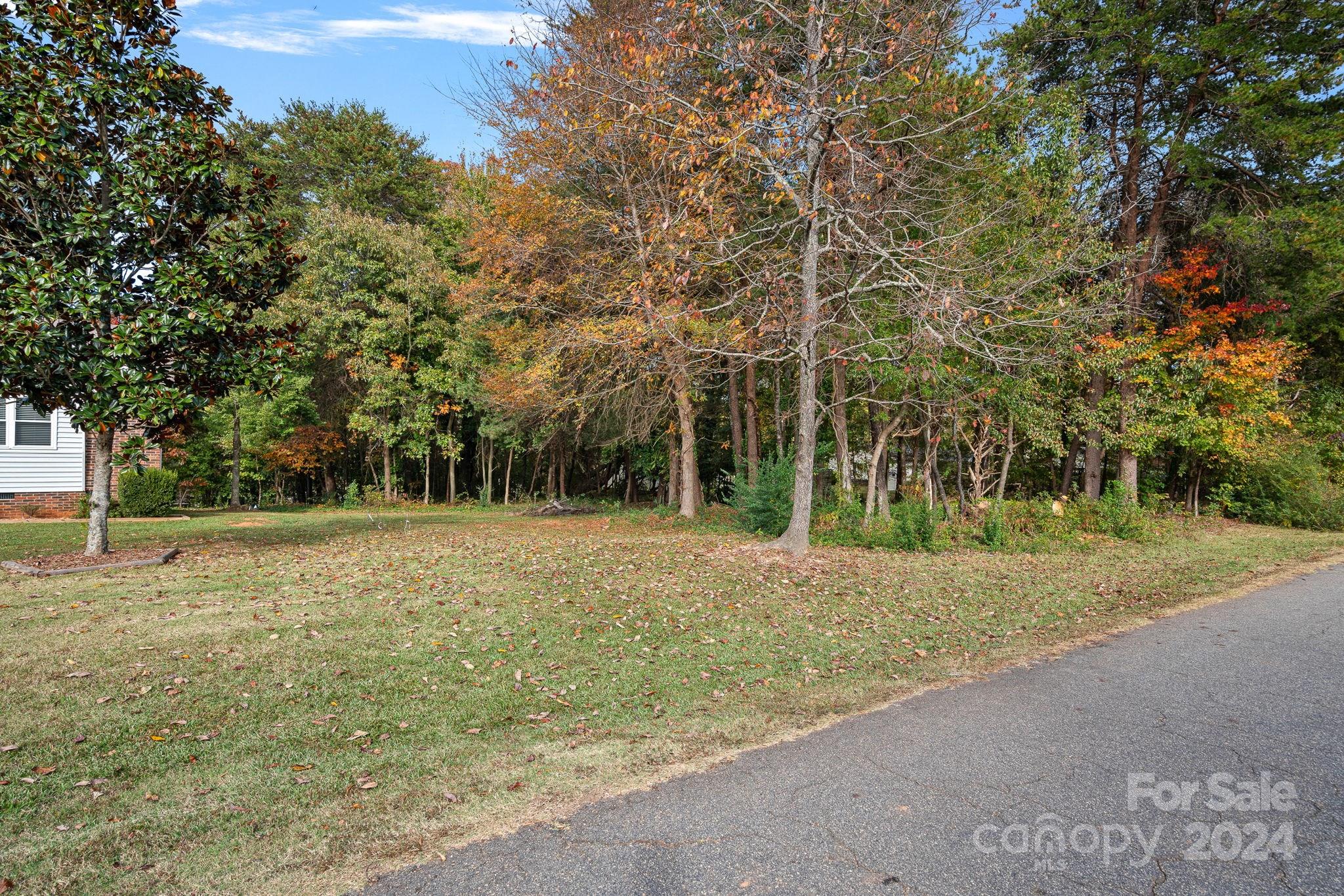 7505 Sarah Drive Denver, NC 28037 - Photo 30 of 34 a backyard of a house with lots of trees