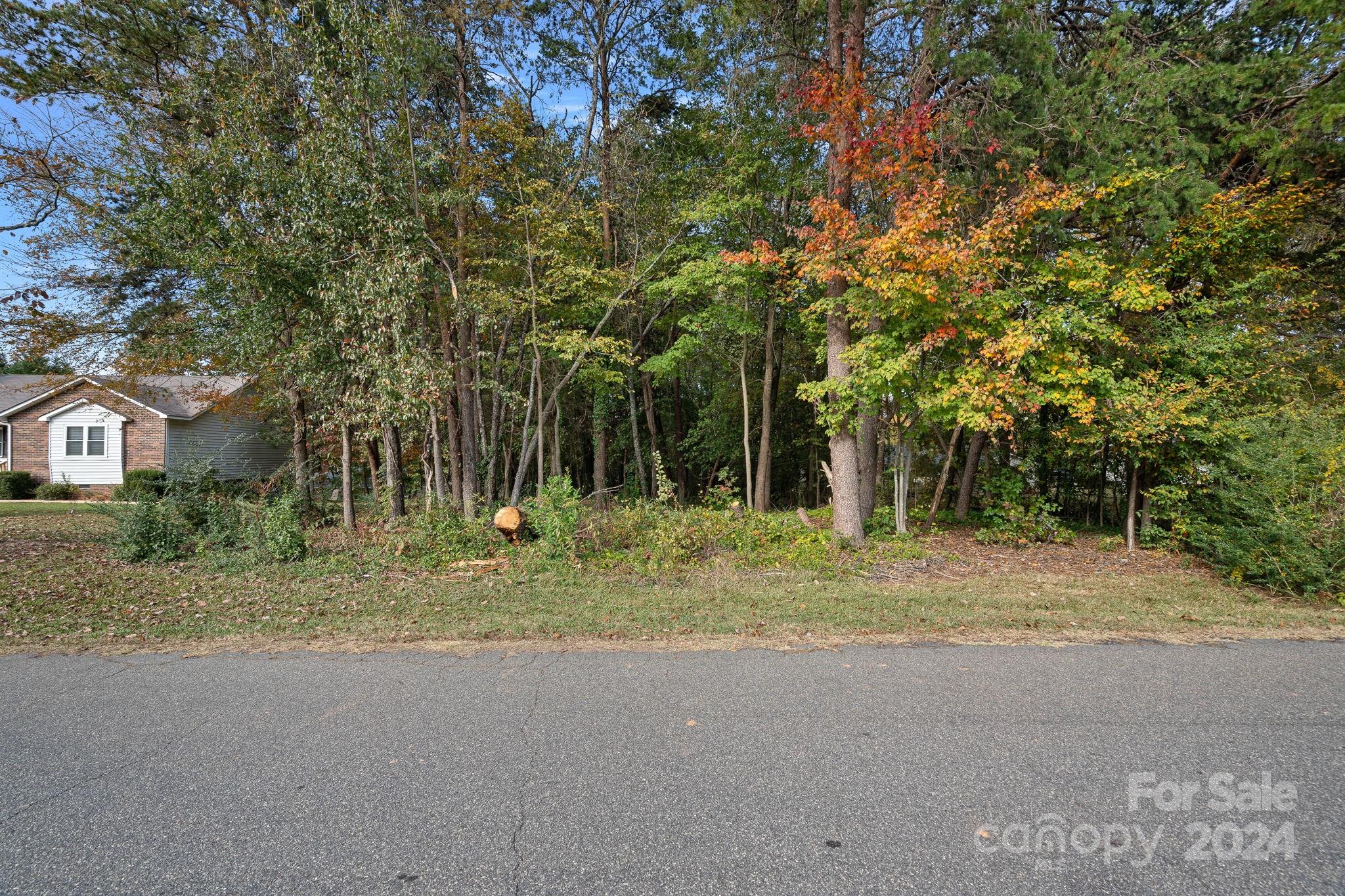 7505 Sarah Drive Denver, NC 28037 - Photo 31 of 34 a backyard of a house with plants and large trees