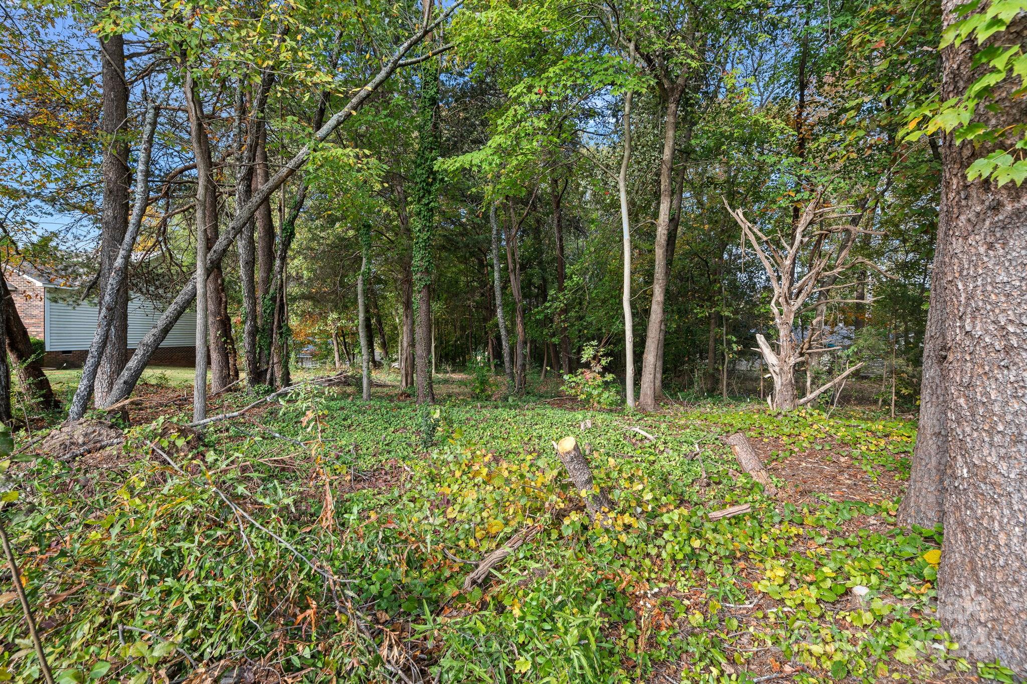 7505 Sarah Drive Denver, NC 28037 - Photo 32 of 34 a view of outdoor space and garden