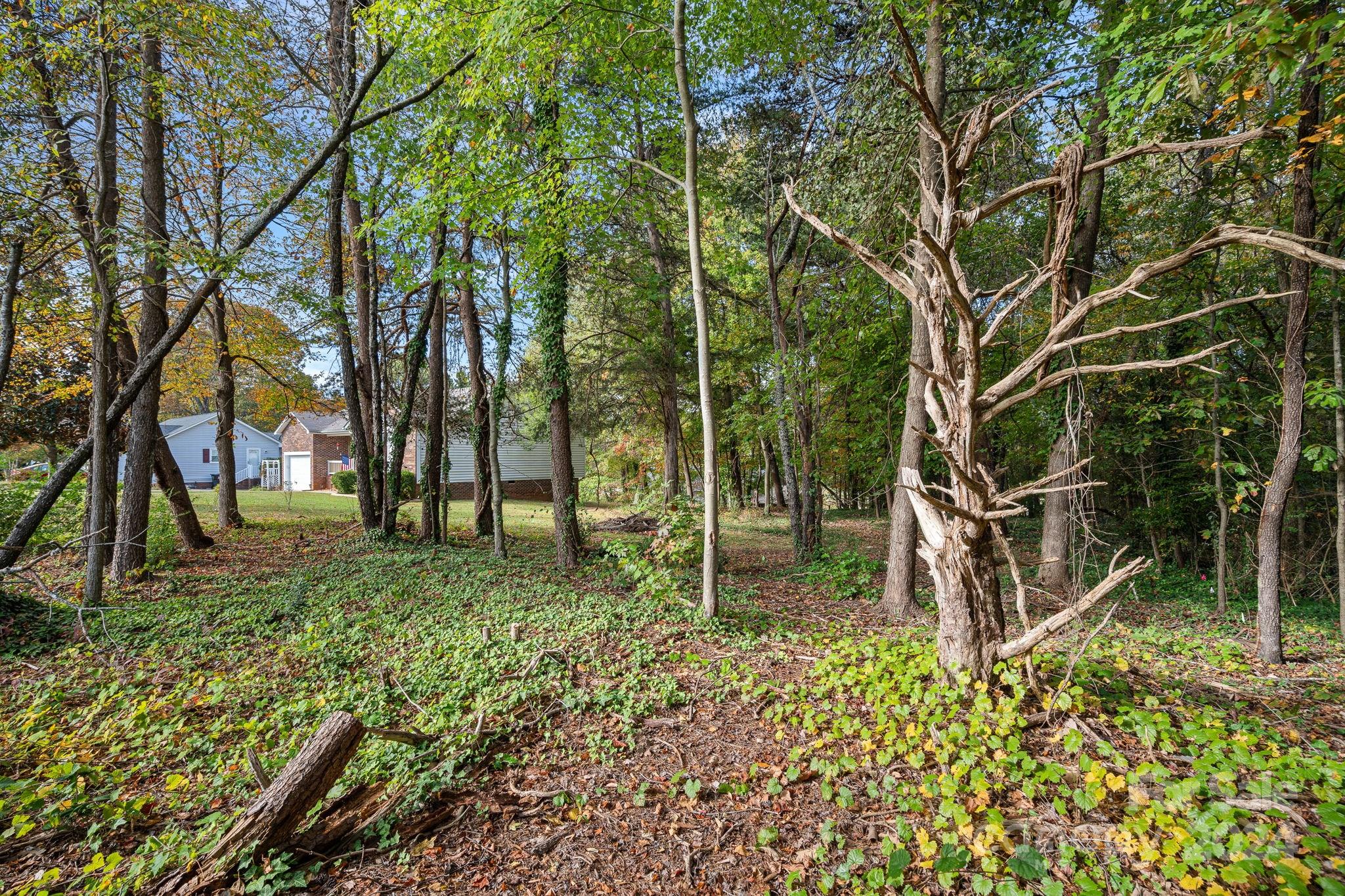 7505 Sarah Drive Denver, NC 28037 - Photo 33 of 34 a backyard of a house with lots of green space