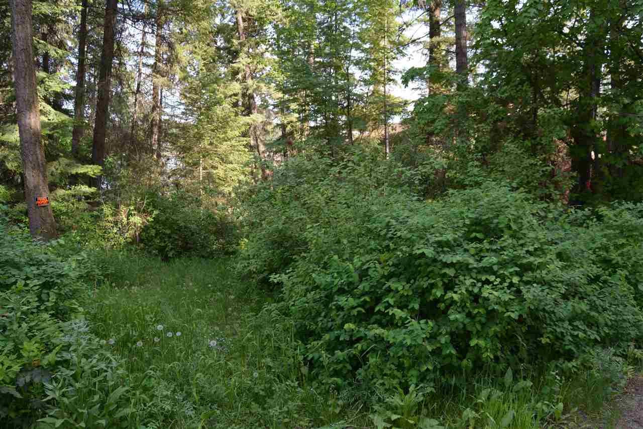 0 Trask Road Newport, WA 99156 - Photo 2 of 5 Gallery Image 2
