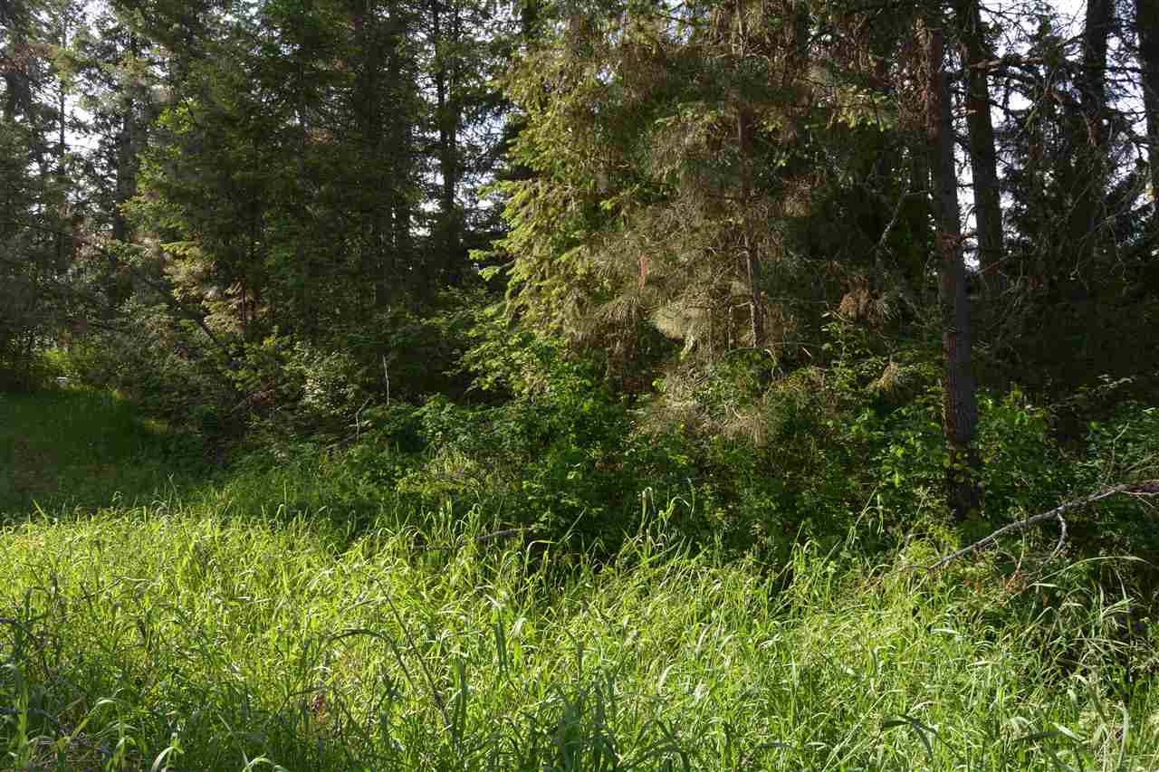 0 Trask Road Newport, WA 99156 - Photo 4 of 5 Gallery Image 4