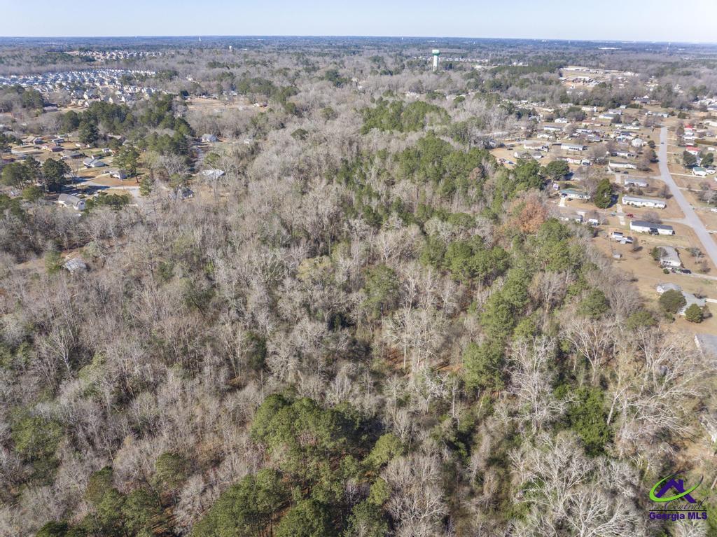 42.5 Old Perry Road Hawkinsville, GA 31036 - Photo 12 of 17