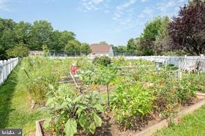 1782 Gibson Road Bensalem, PA 19020 - Photo 29 of 33 a view of a garden with plants and large trees