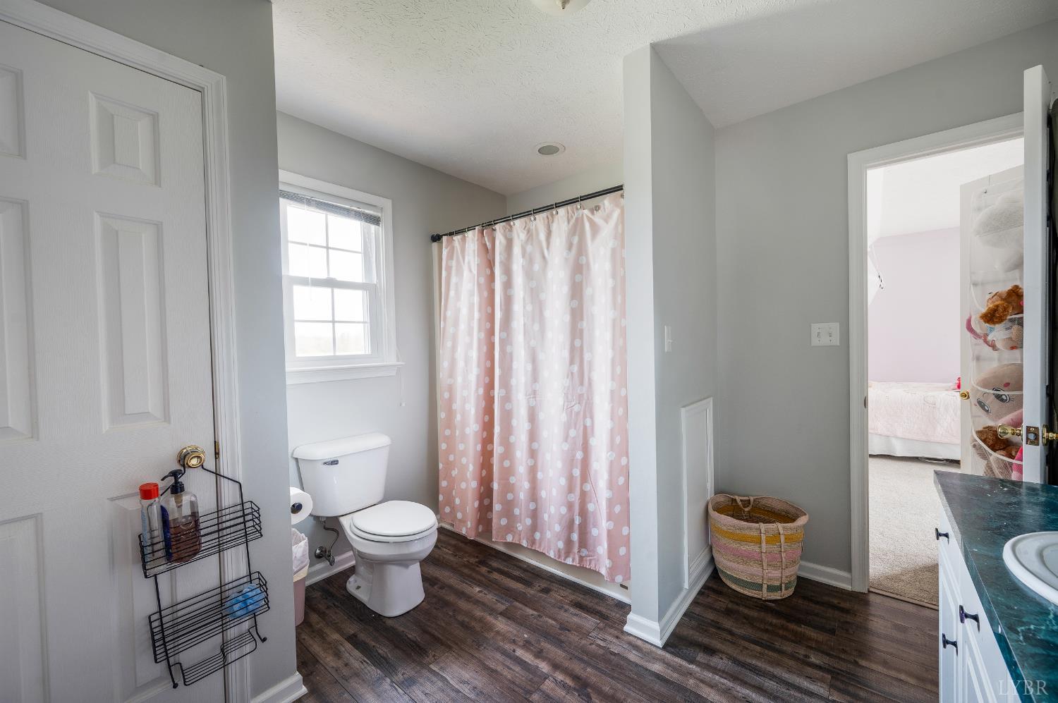 939 Alum Springs Road Forest, VA 24551 - Photo 32 of 65