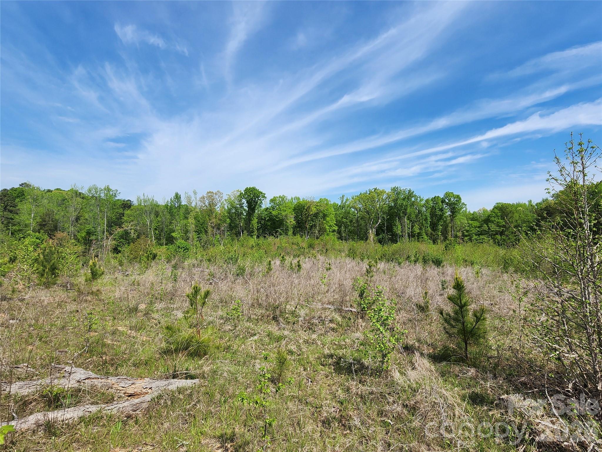 6327 Witherspoon Drive Lancaster, SC 29720 - Photo 19 of 41 a view of a green field with lots of bushes