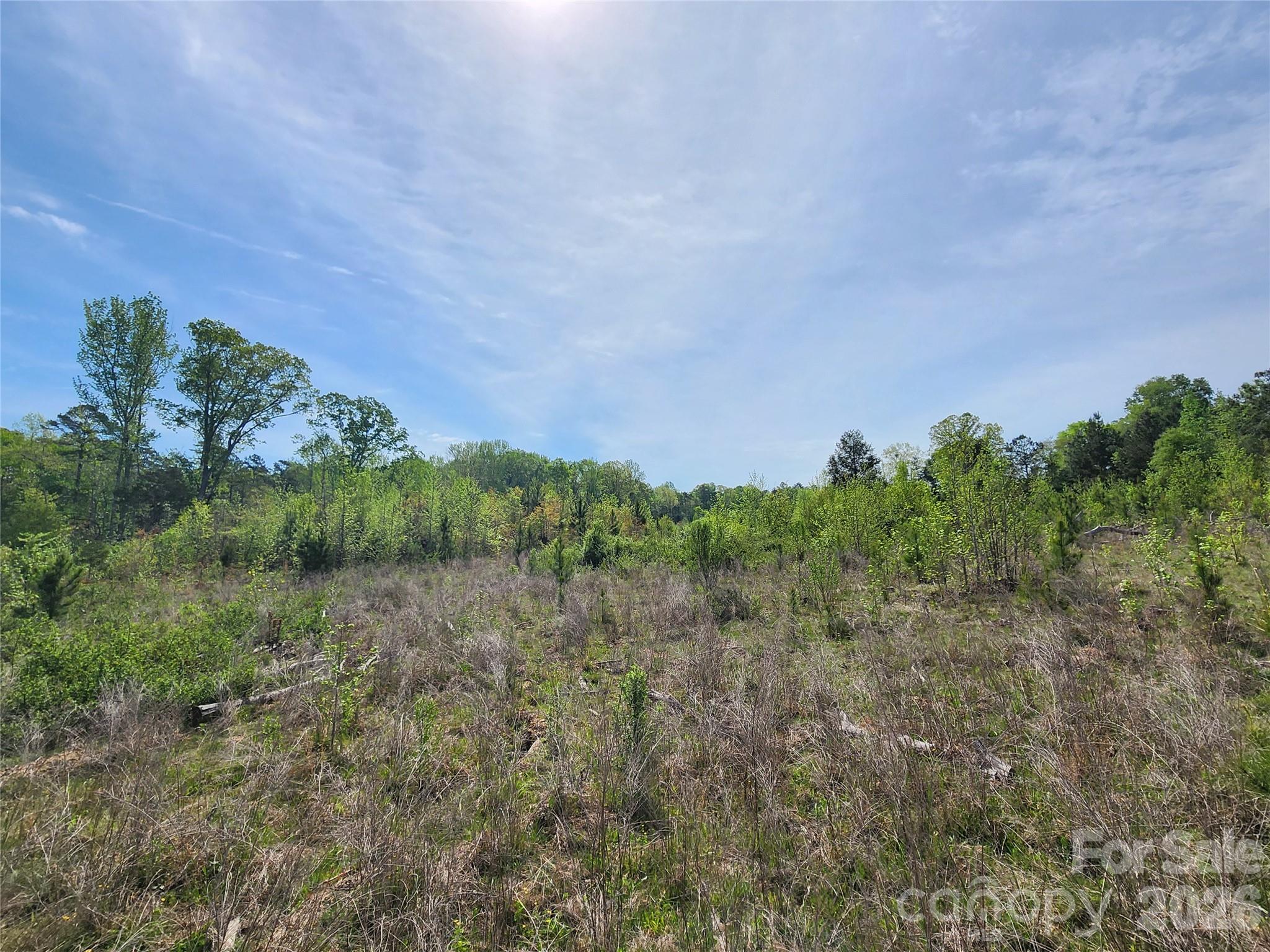 6327 Witherspoon Drive Lancaster, SC 29720 - Photo 20 of 41 a view of a field of grass and trees