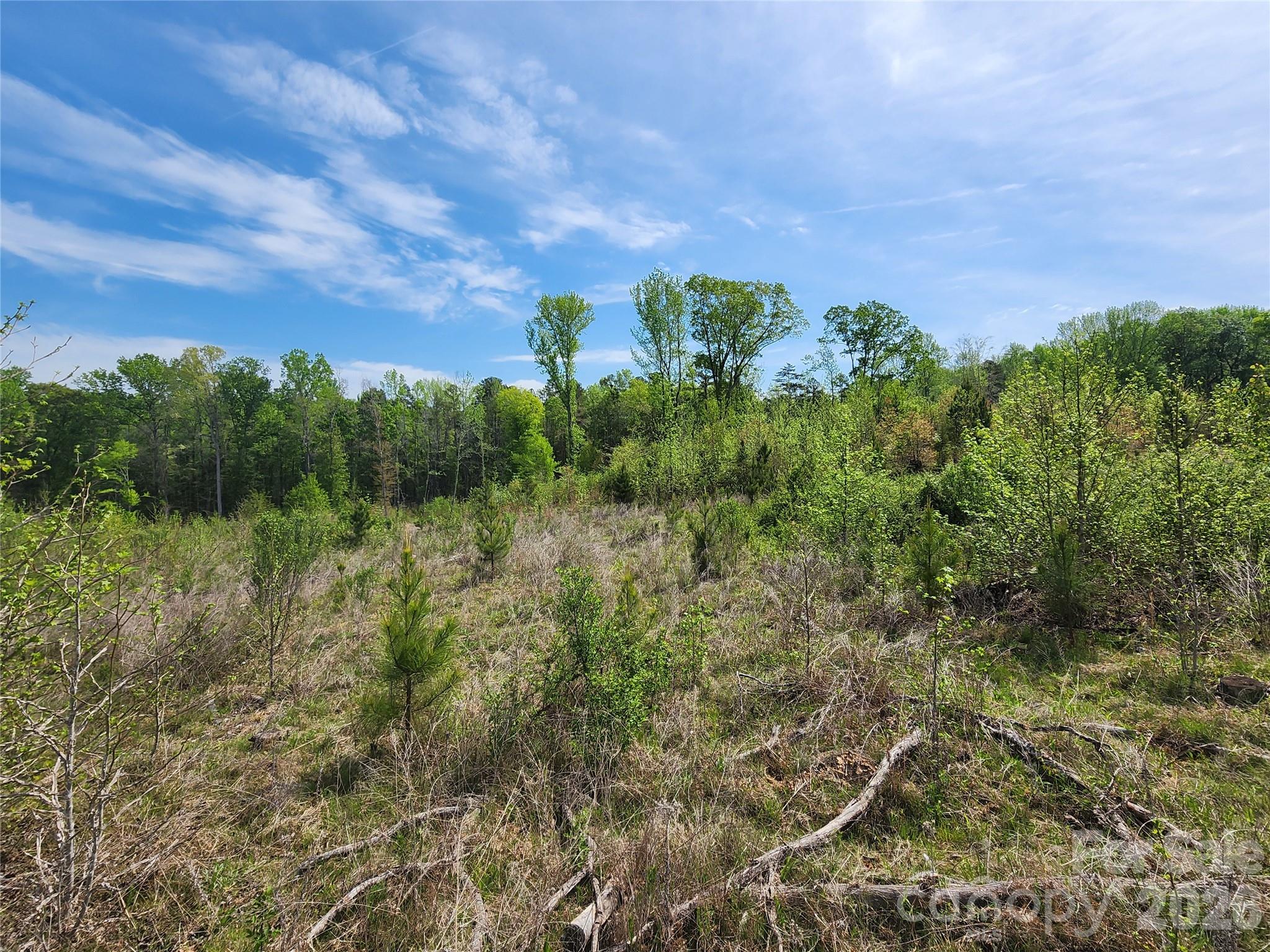 6327 Witherspoon Drive Lancaster, SC 29720 - Photo 21 of 41 a view of a bunch of trees