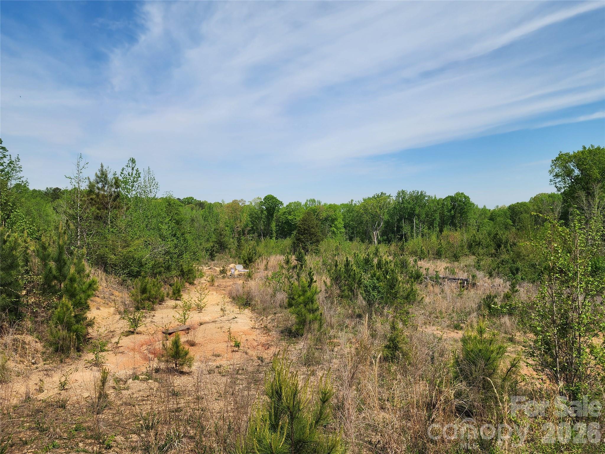 6327 Witherspoon Drive Lancaster, SC 29720 - Photo 28 of 41 a view of a field of grass and trees