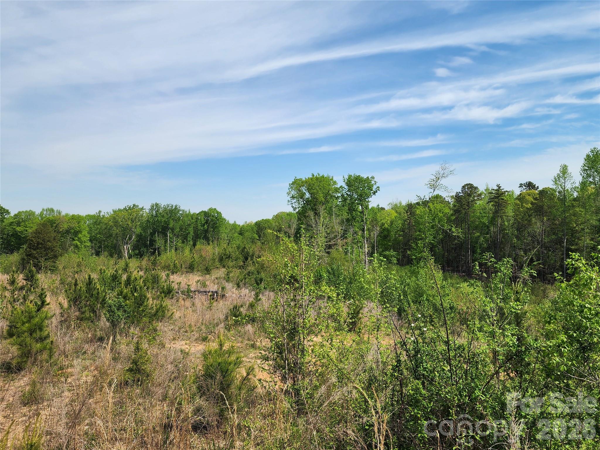 6327 Witherspoon Drive Lancaster, SC 29720 - Photo 29 of 41 a view of a green field
