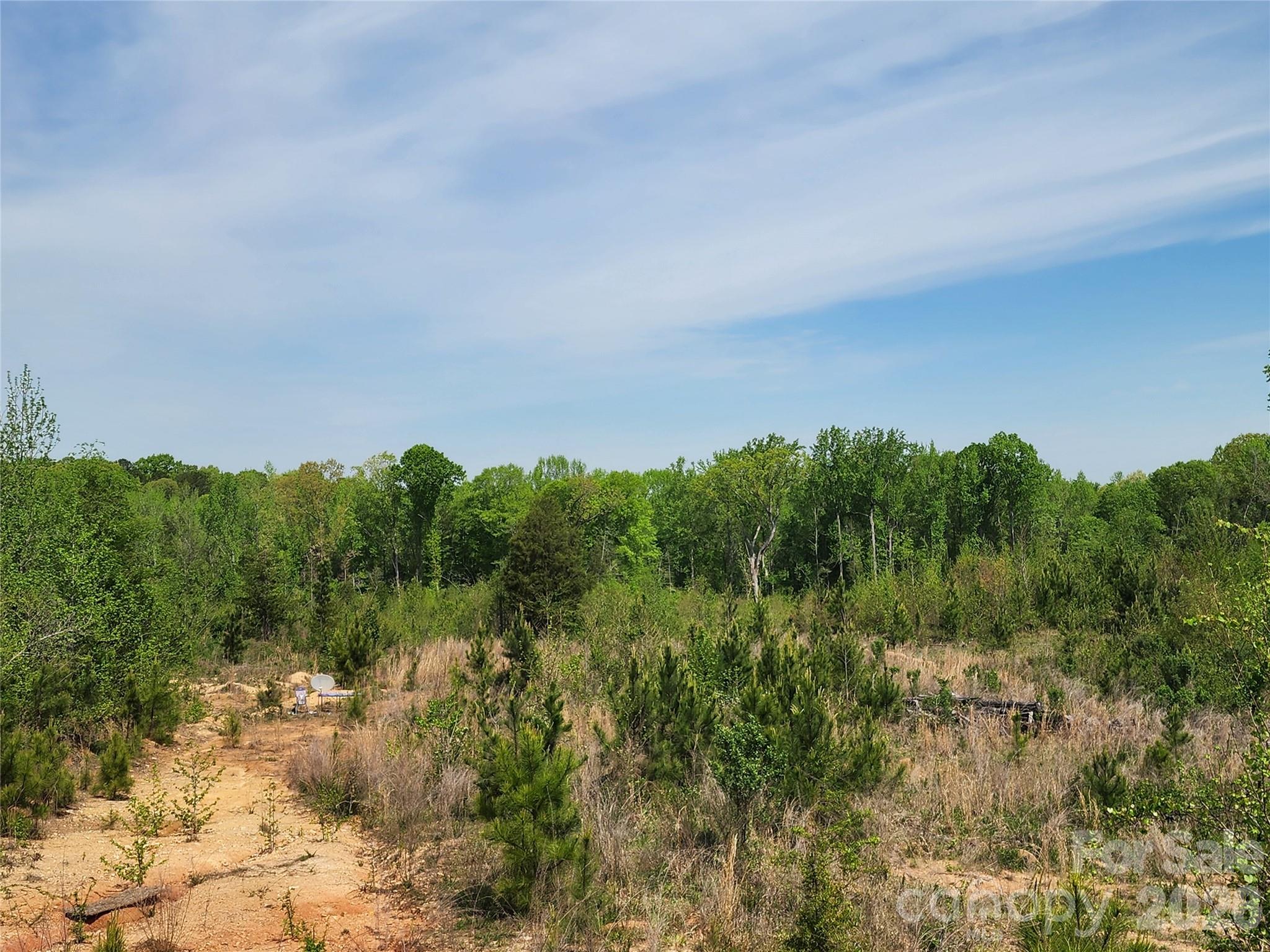 6327 Witherspoon Drive Lancaster, SC 29720 - Photo 30 of 41 a view of a yard with a tree