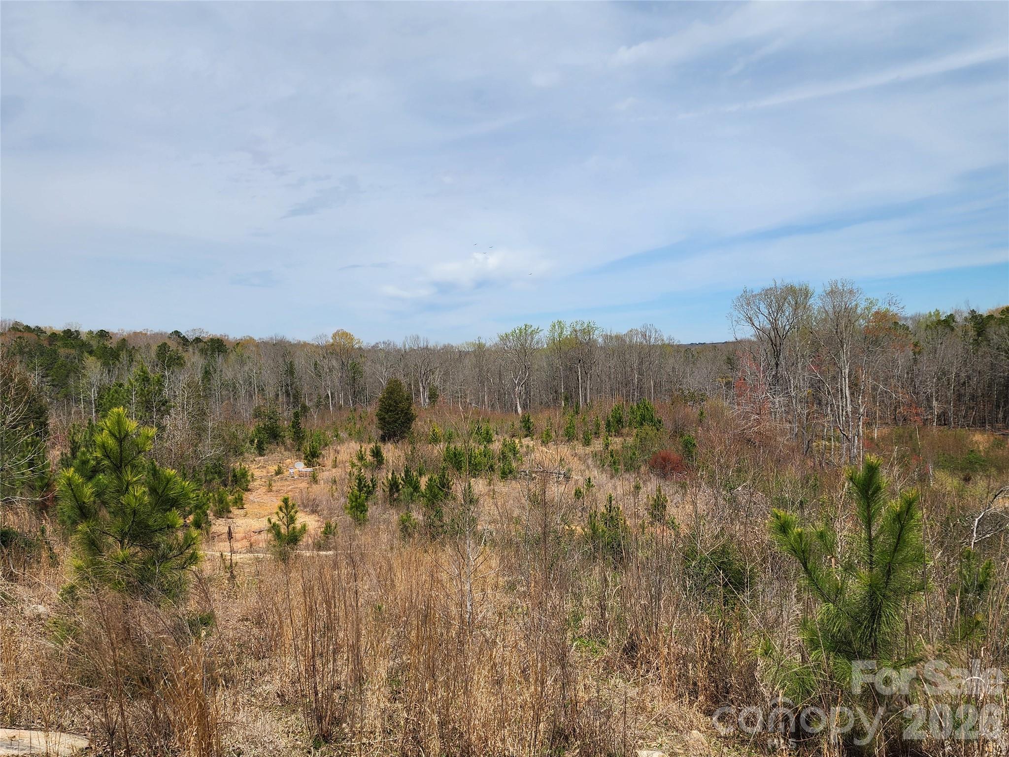 6327 Witherspoon Drive Lancaster, SC 29720 - Photo 32 of 41 a view of a city with lush green forest