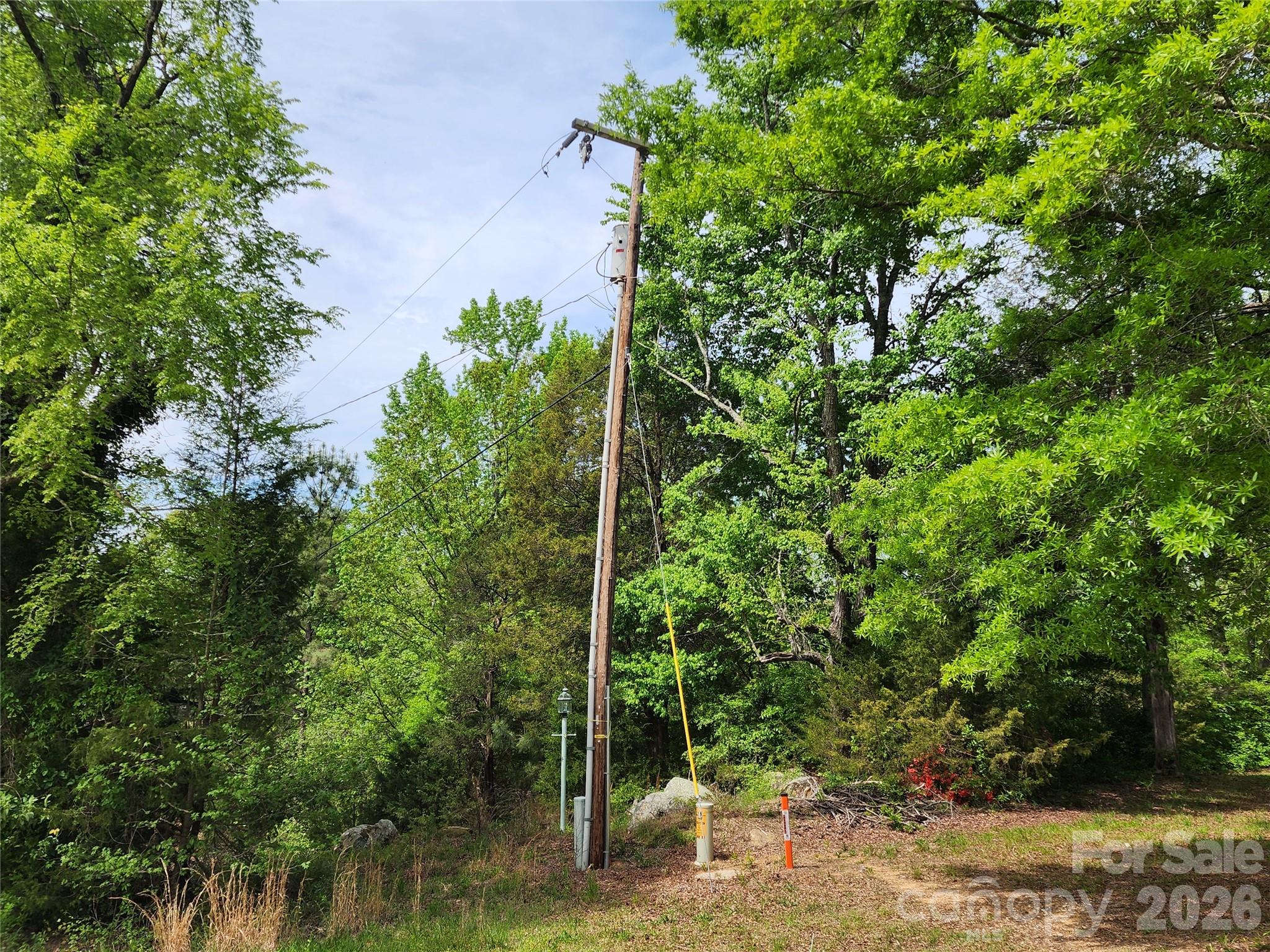 6327 Witherspoon Drive Lancaster, SC 29720 - Photo 36 of 41 a view of a yard with plants and large trees