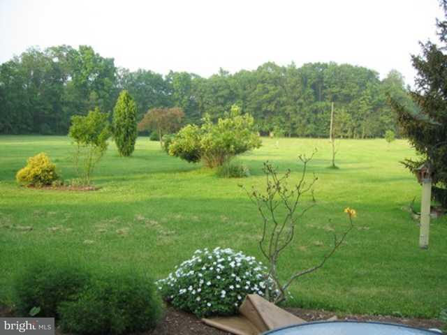 255 Chestnut Grove Road Dillsburg, PA 17019 - Photo 5 of 11 Gallery Image 5