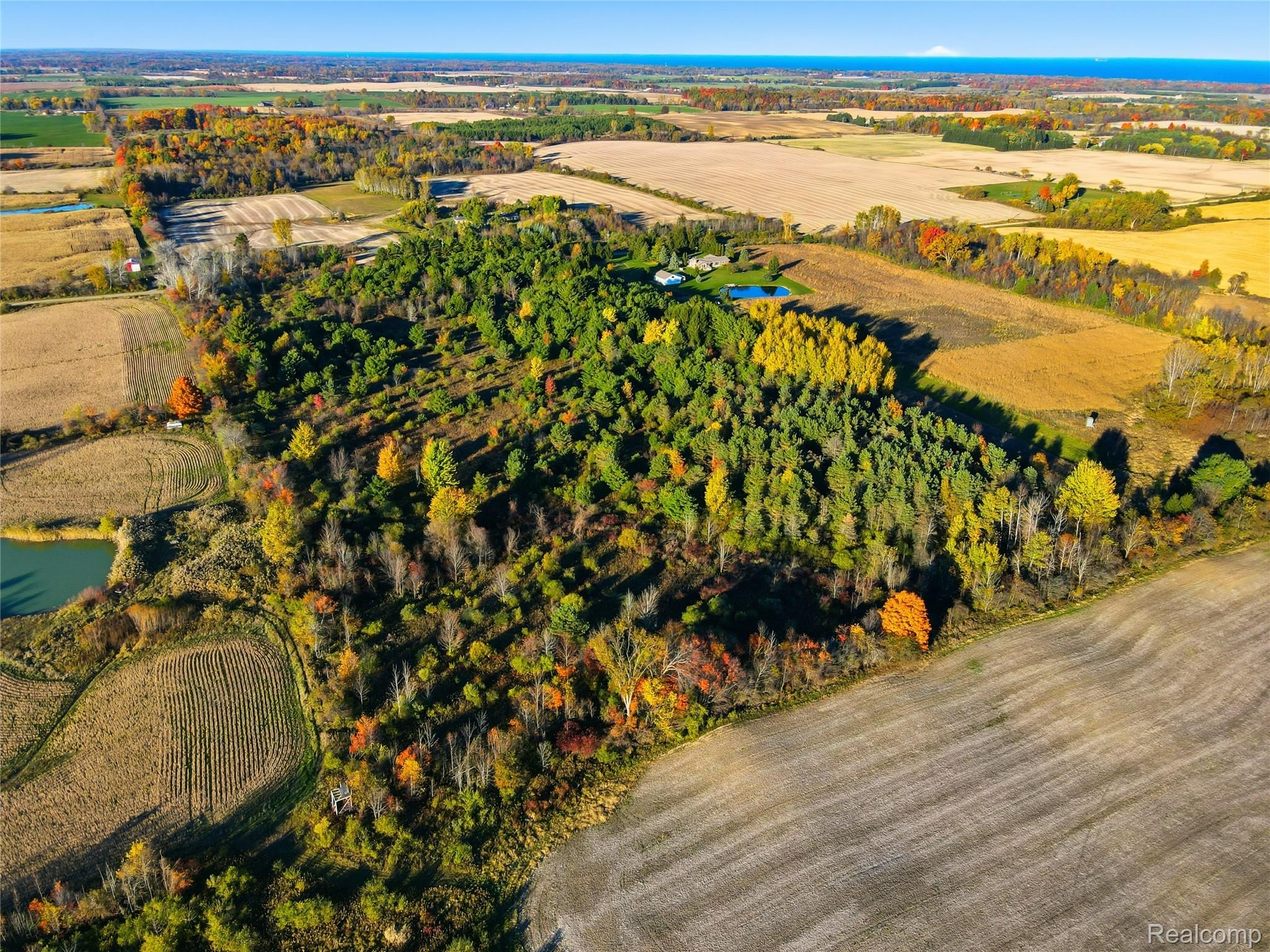 Tbd Walker Road Applegate, MI 48401 - Photo 2 of 4 04-DJI_0364.jpg