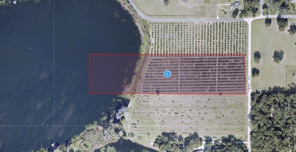 Lake Street Umatilla, FL 32784 - Photo 1 of 1 a view of wall