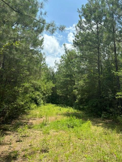 0 East Lewiston Road Kentwood, LA 70444 - Photo 19 of 26 Photo 20