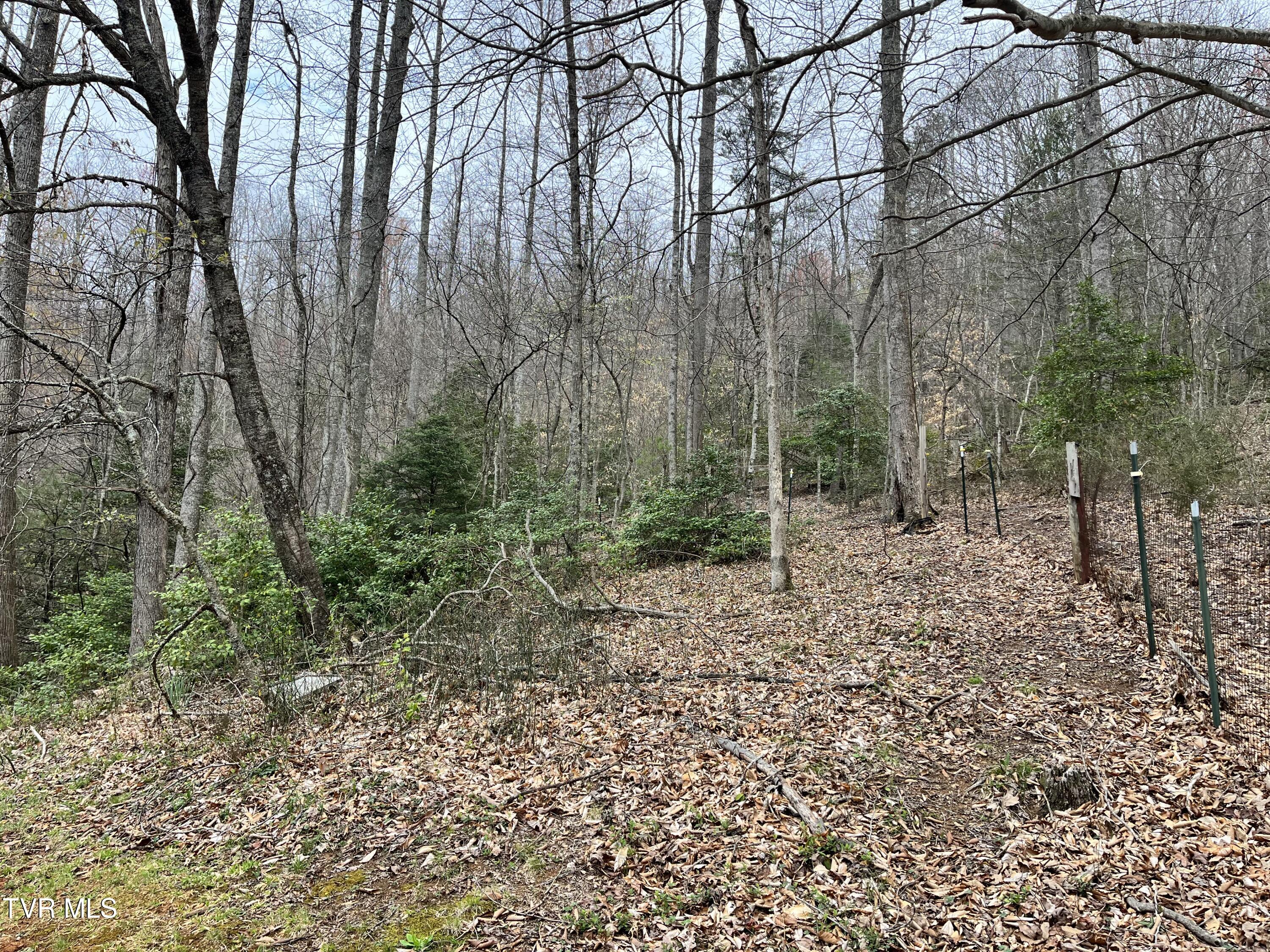 225 Jim Deal Road Elizabethton, TN 37643 - Photo 6 of 15 Estep9