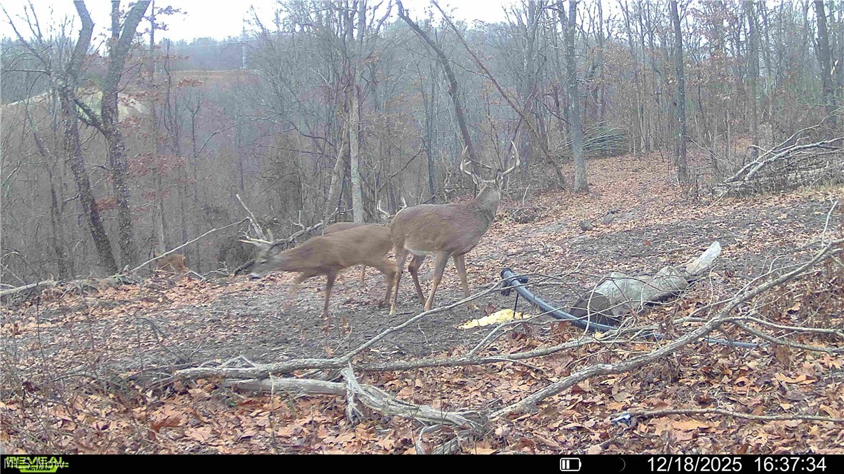 Hill Road Portsmouth, OH 45662 - Photo 26 of 47